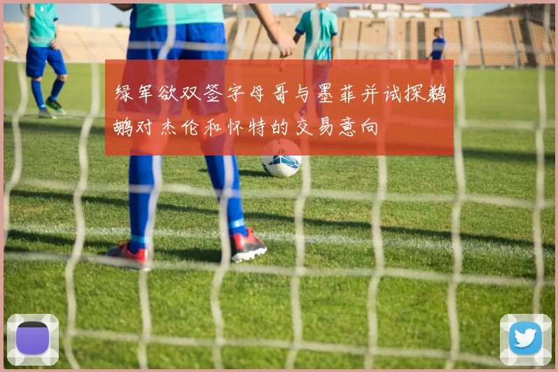 绿军欲双签字母哥与墨菲并试探鹈鹕对杰伦和怀特的交易意向