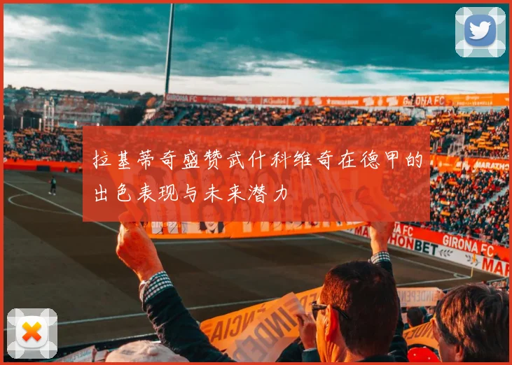 拉基蒂奇盛赞武什科维奇在德甲的出色表现与未来潜力