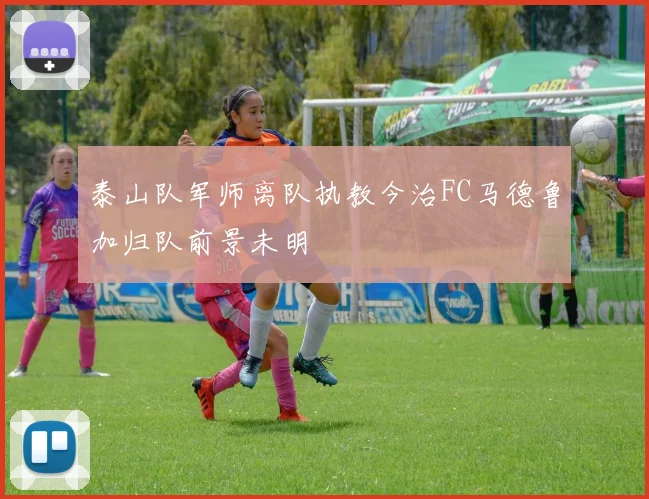 泰山队军师离队执教今治FC马德鲁加归队前景未明