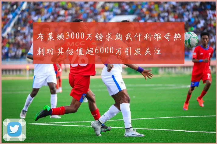 布莱顿3000万镑求购武什科维奇热刺对其估值超6000万引发关注