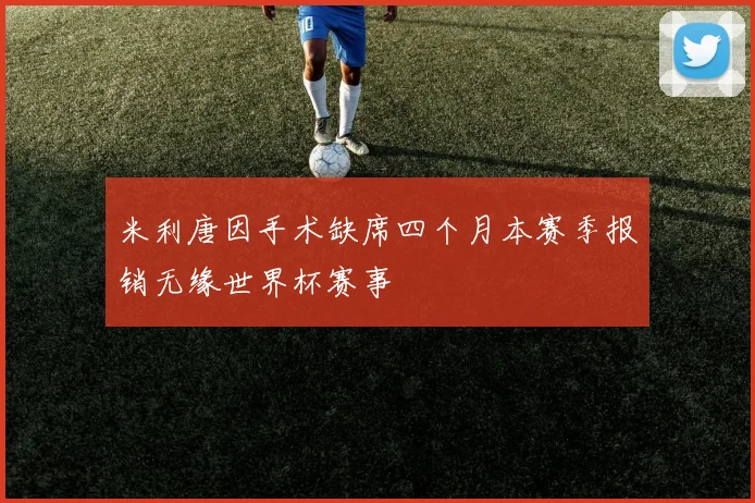米利唐因手术缺席四个月本赛季报销无缘世界杯赛事