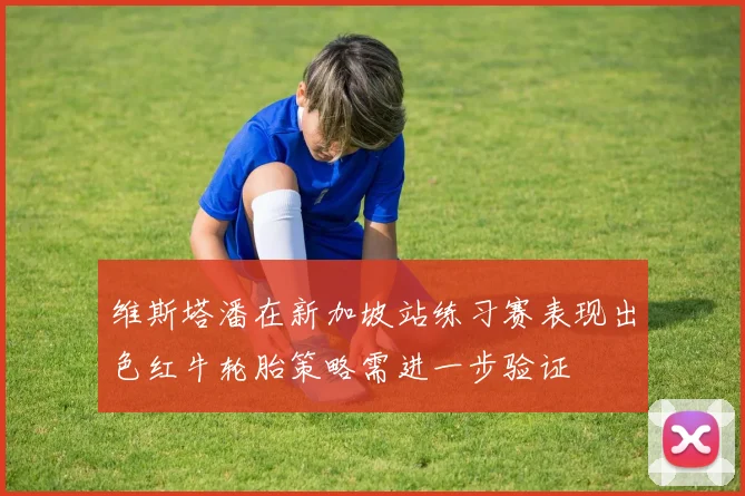 维斯塔潘在新加坡站练习赛表现出色红牛轮胎策略需进一步验证